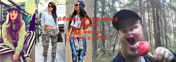 тгк Армянск