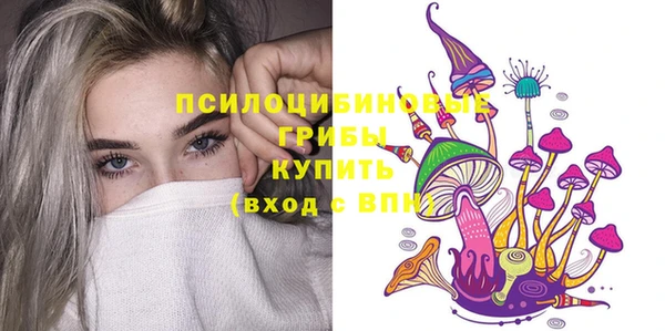 тгк Армянск